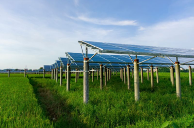 PM Kusum Solar Yojna